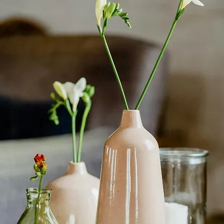 Lovingly Restored Half-timbered House From 1684 * Großschönau