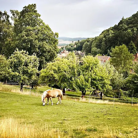 Lovingly Restored Half-timbered House From 1684 Casa de Férias Großschönau
