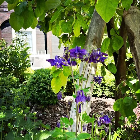 Lovingly Restored Half-timbered House From 1684 *