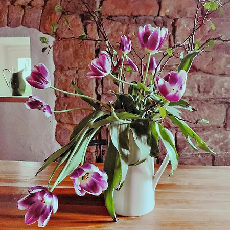 Lovingly Restored Half-timbered House From 1684 * Großschönau