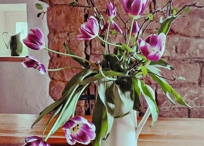 Lovingly Restored Half-timbered House From 1684 Ferienhaus