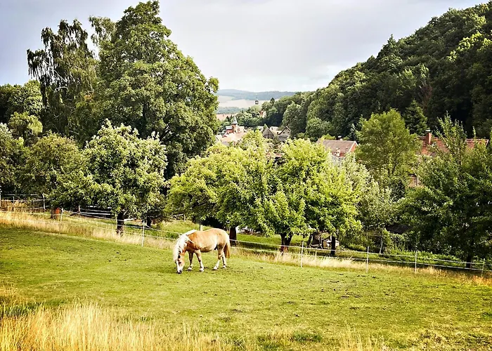 Lovingly Restored Half-timbered House From 1684 Ferienhaus *